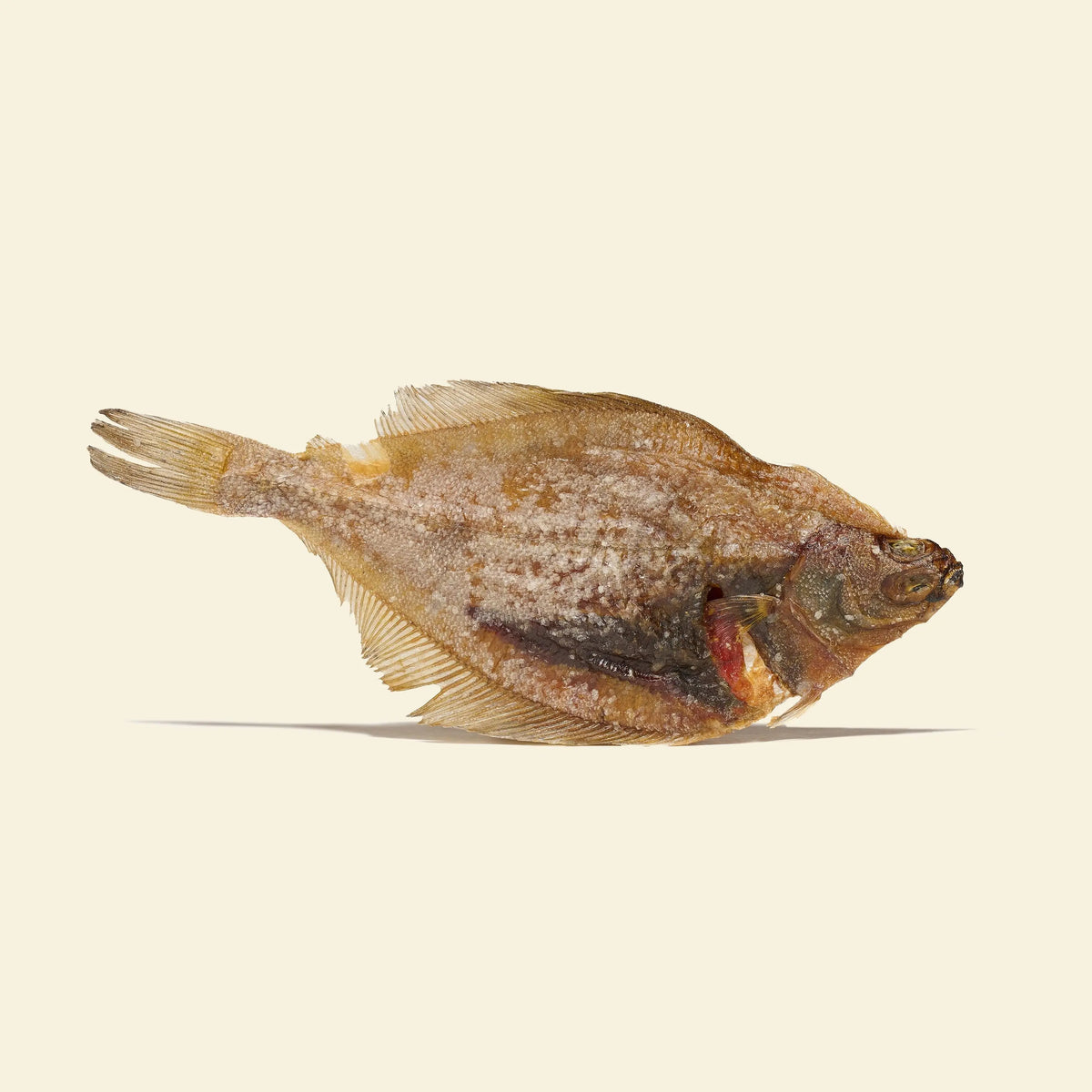 limande entière pour chien friandise poisson naturelle