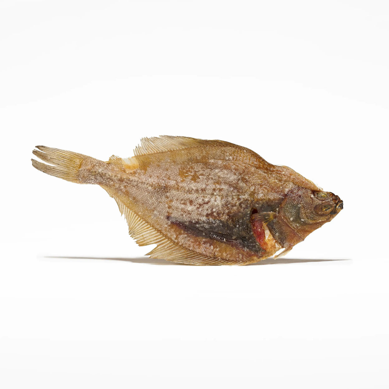 limande entière pour chien friandise poisson naturelle