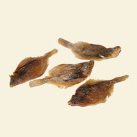 limande entière pour chien friandise poisson naturelle