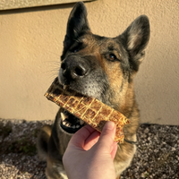 Mamelle de vache pour chien, friandise de mastication naturelle