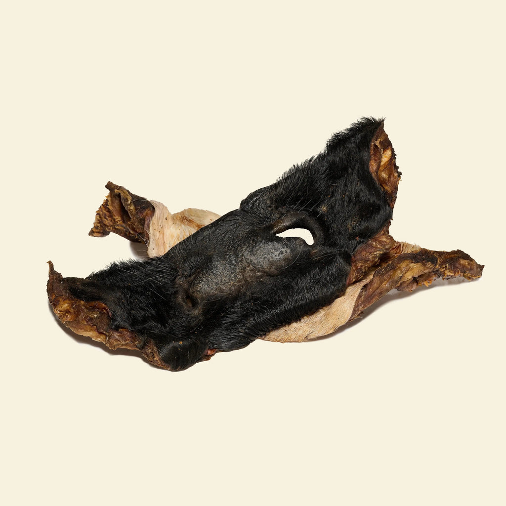 Museau de boeuf avec poils pour chien mastication naturelle