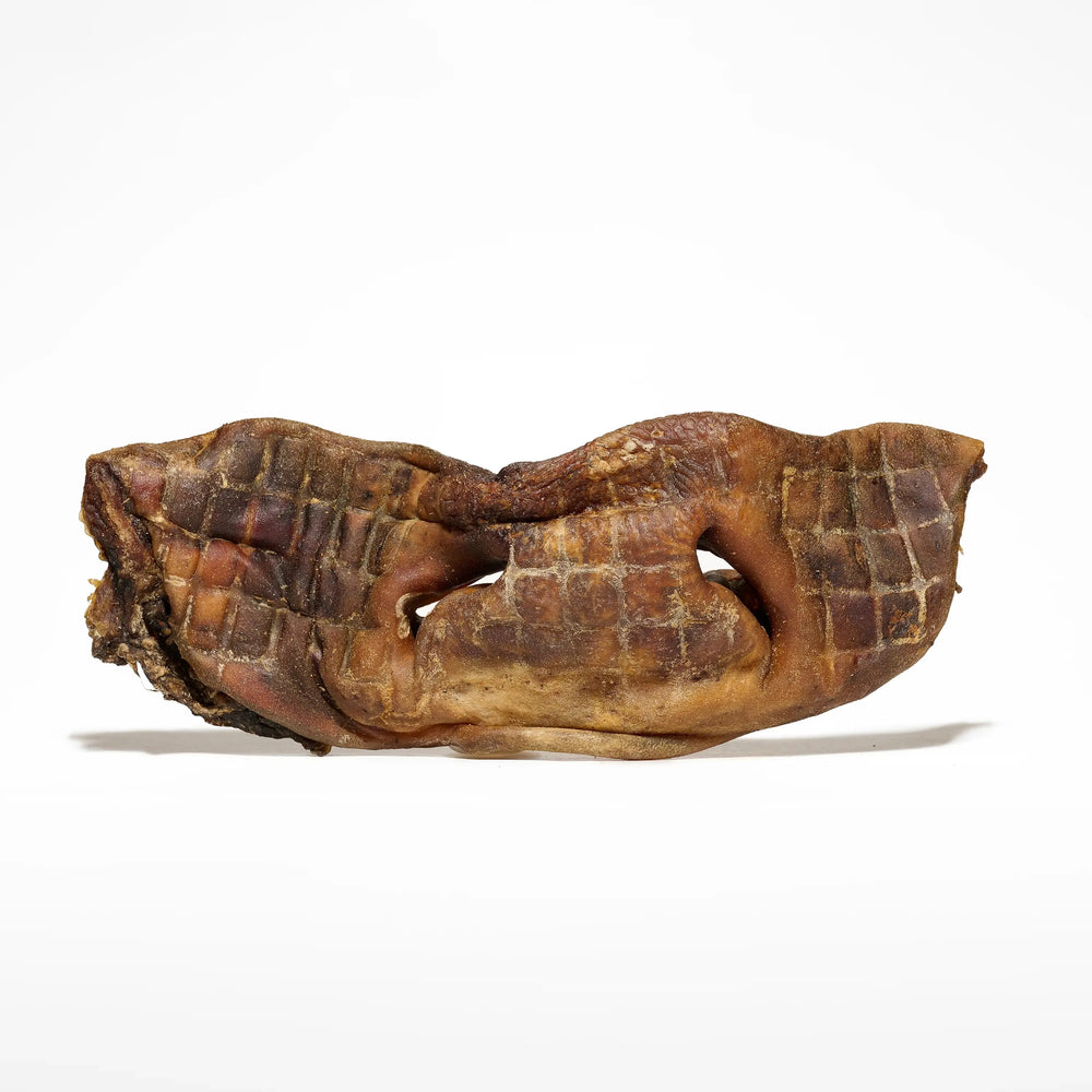 Museau de boeuf pour chien mastication naturelle