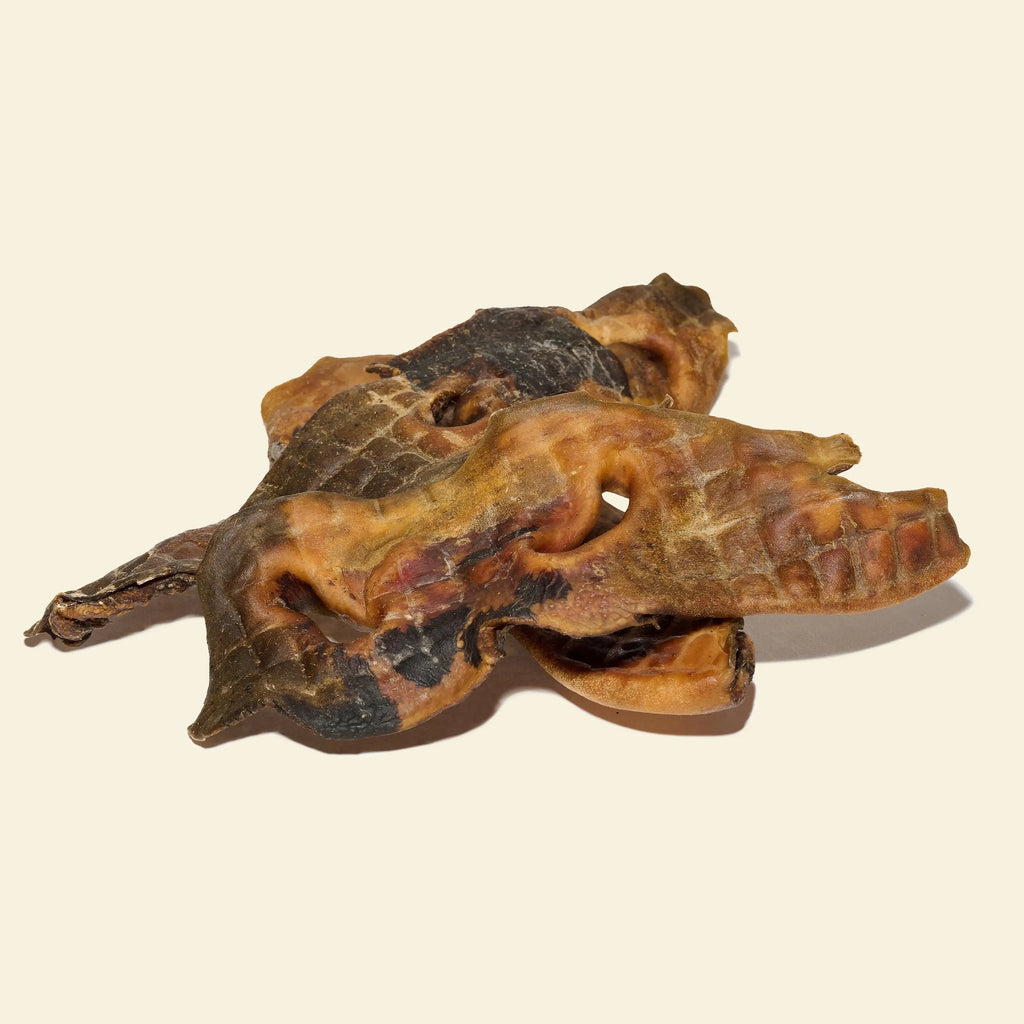 Museau de boeuf pour chien mastication naturelle