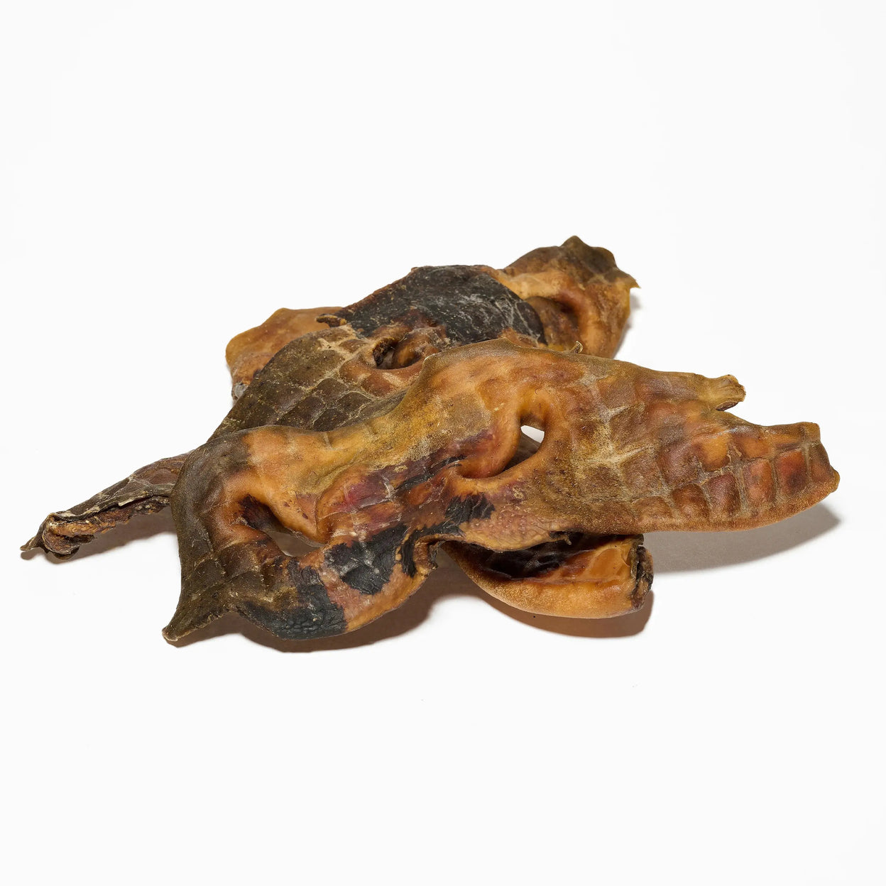 Museaux de boeuf pour chien mastication naturelle