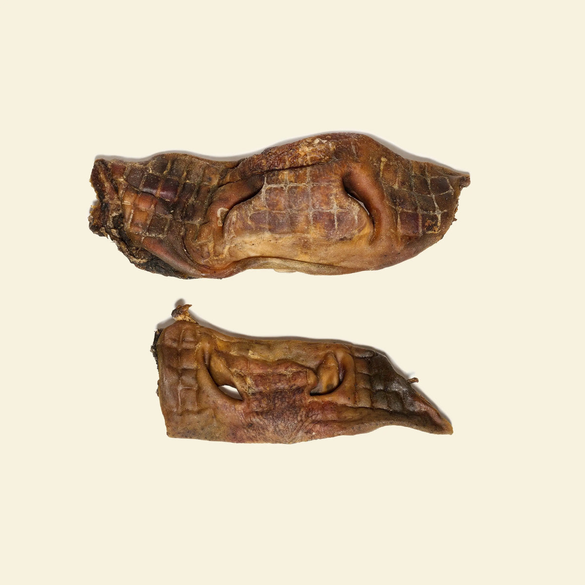 Museau de boeuf pour chien mastication naturelle
