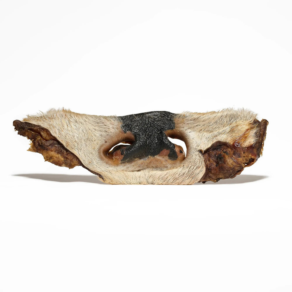 museau de bœuf avec poils pour chien mastication naturelle