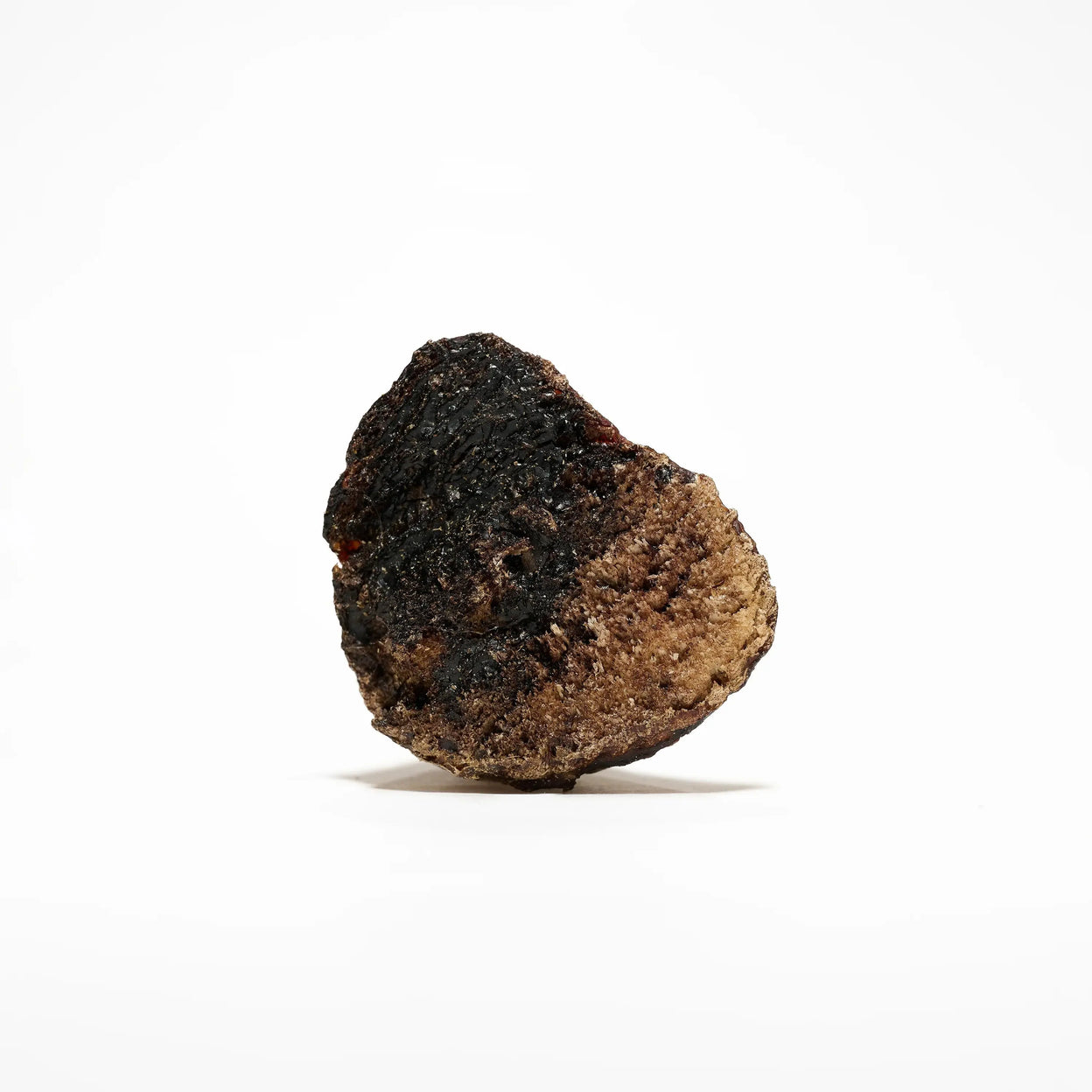 noyau de corne de bœuf pour chien mastication