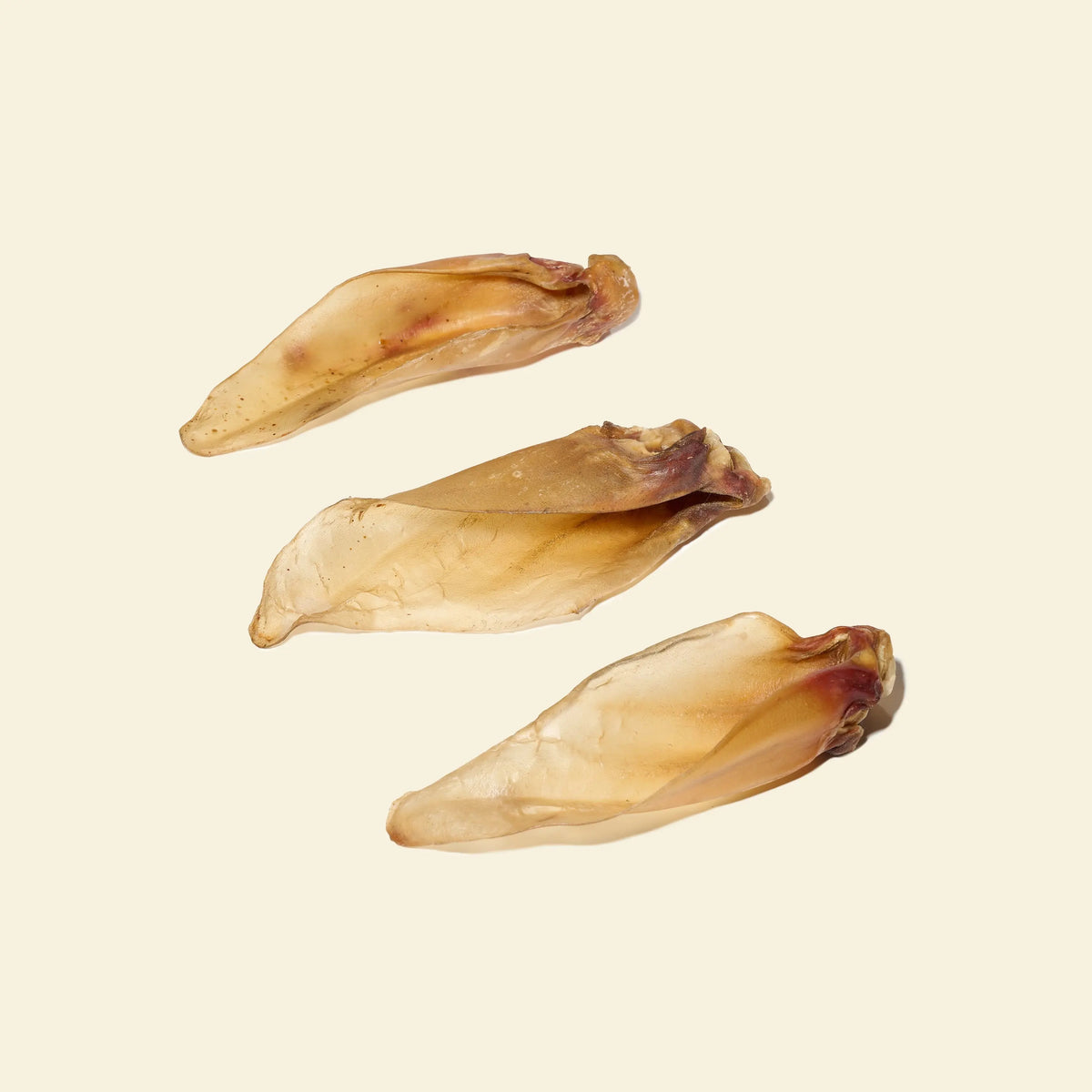Oreille de boeuf pour chien, friandise de mastication naturelle