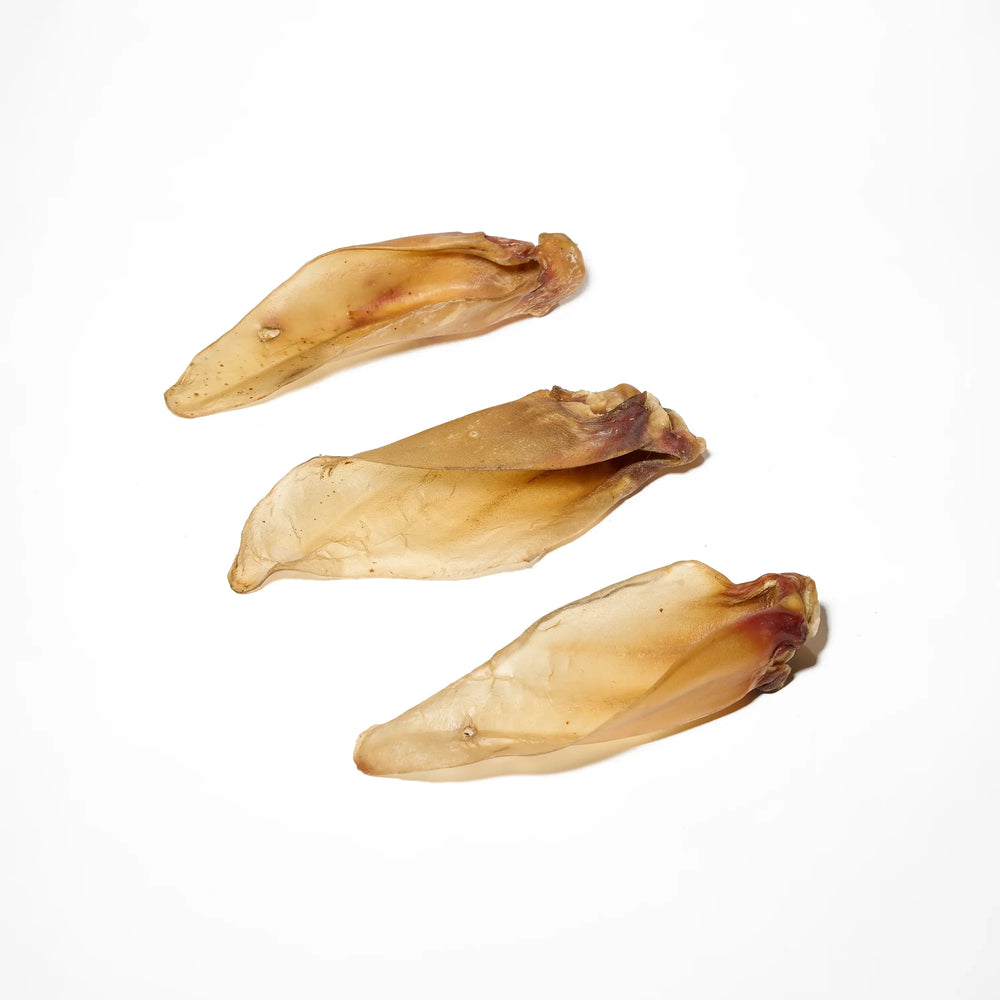 Oreilles de boeuf pour chien, friandises de mastications naturelles