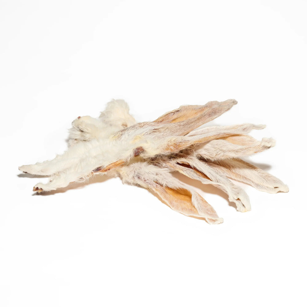 Oreilles de lapin avec poils pour chien, friandises de mastication naturelle