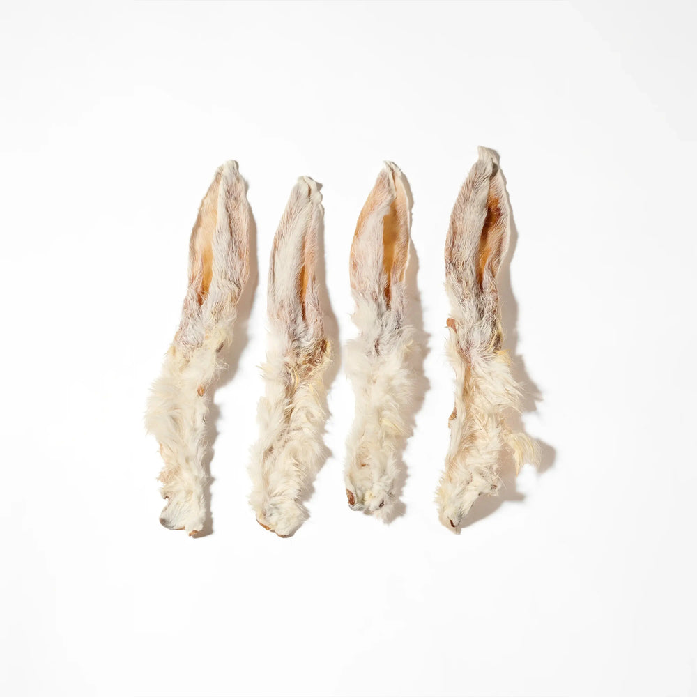 Oreilles de lapin avec poils pour chien, friandises de mastication naturelle