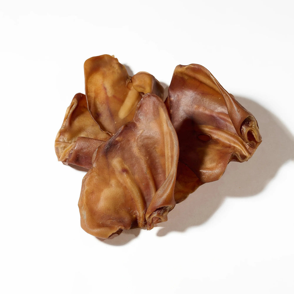 Oreille de porc pour chien, friandise de mastication naturelle