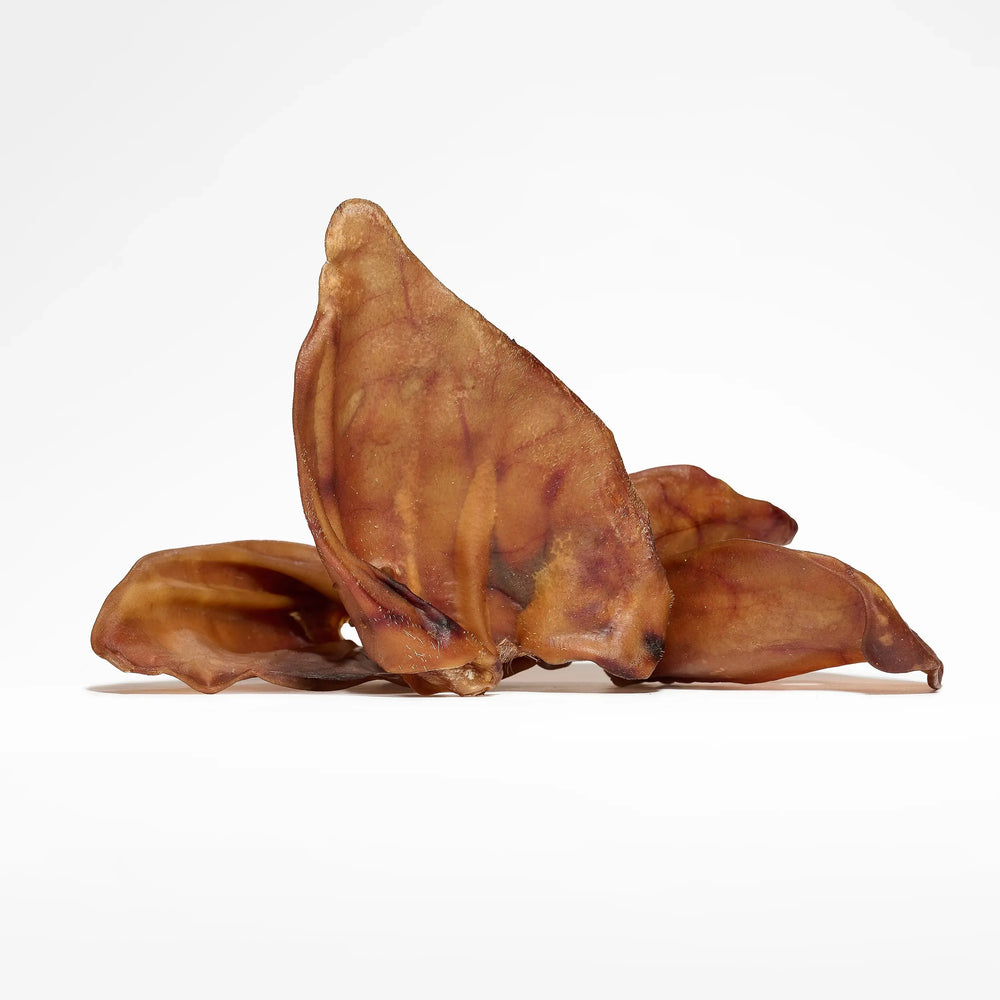 Oreilles de porc pour chien, friandises de mastication naturelle