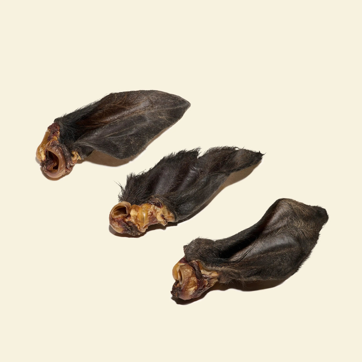 Oreille de boeuf avec poils pour chien, friandise de mastication naturelle