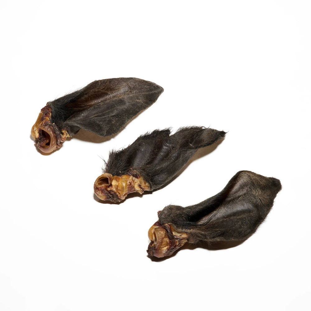 Oreille de boeuf avec poils pour chien