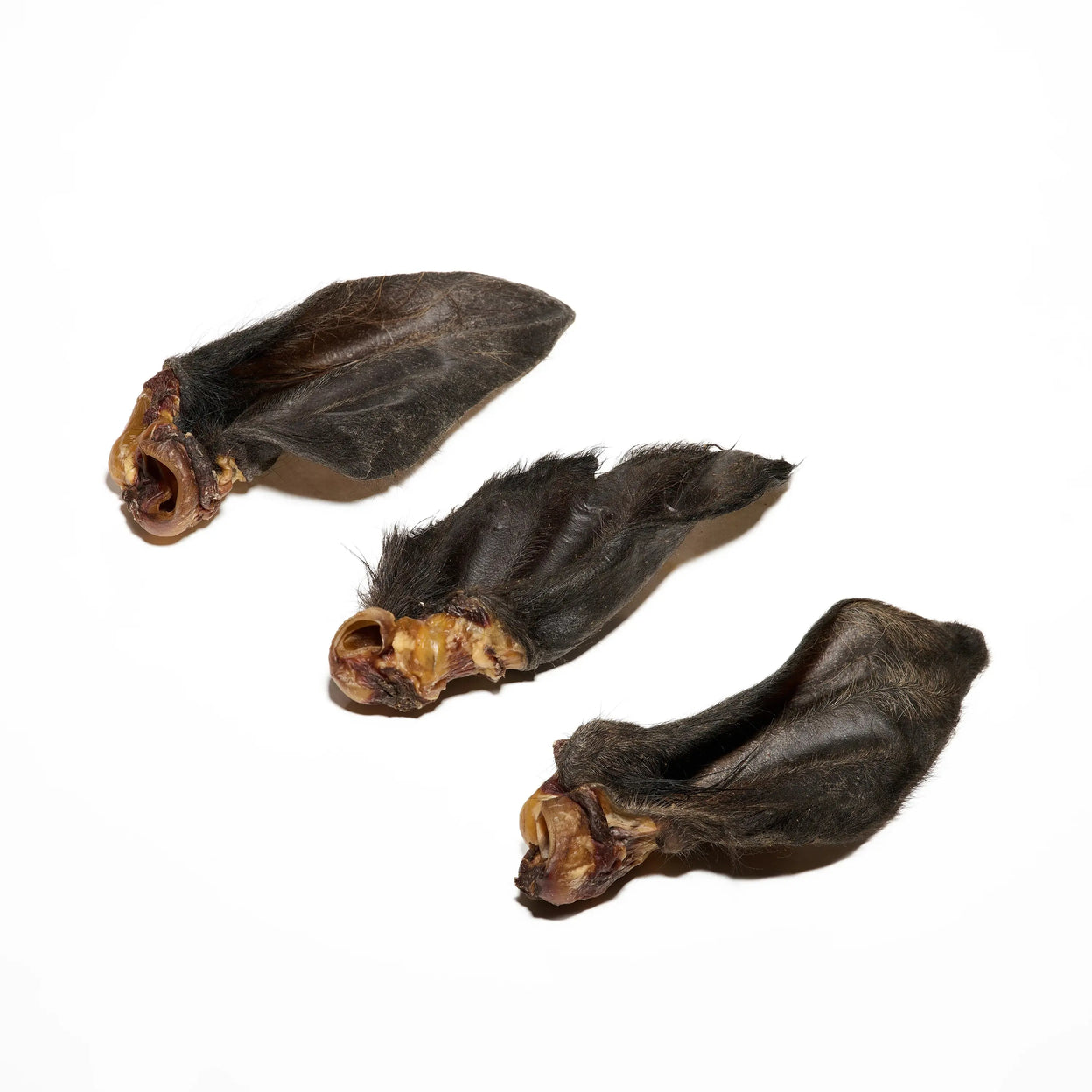 Oreille de boeuf avec poils pour chien