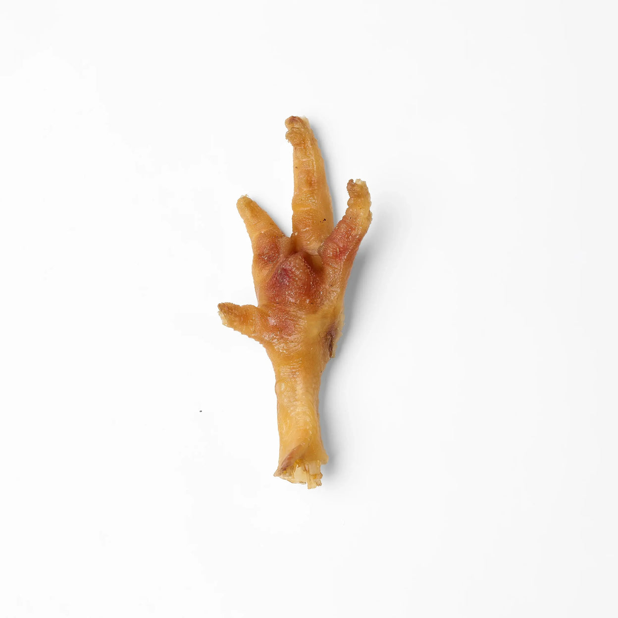 Patte de poulet, friandise de mastication naturelle