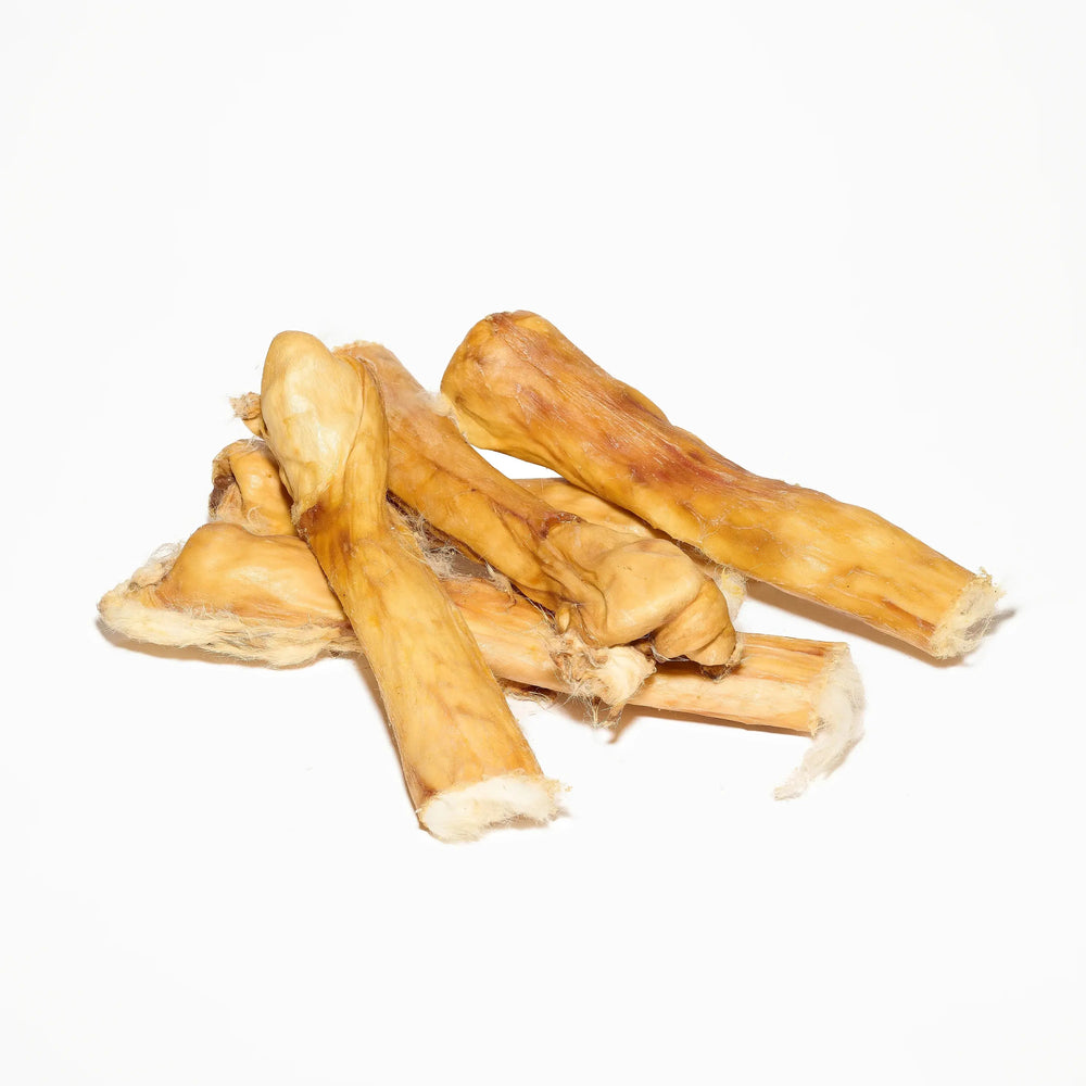 peaux de lapin pour chien mastication naturelle