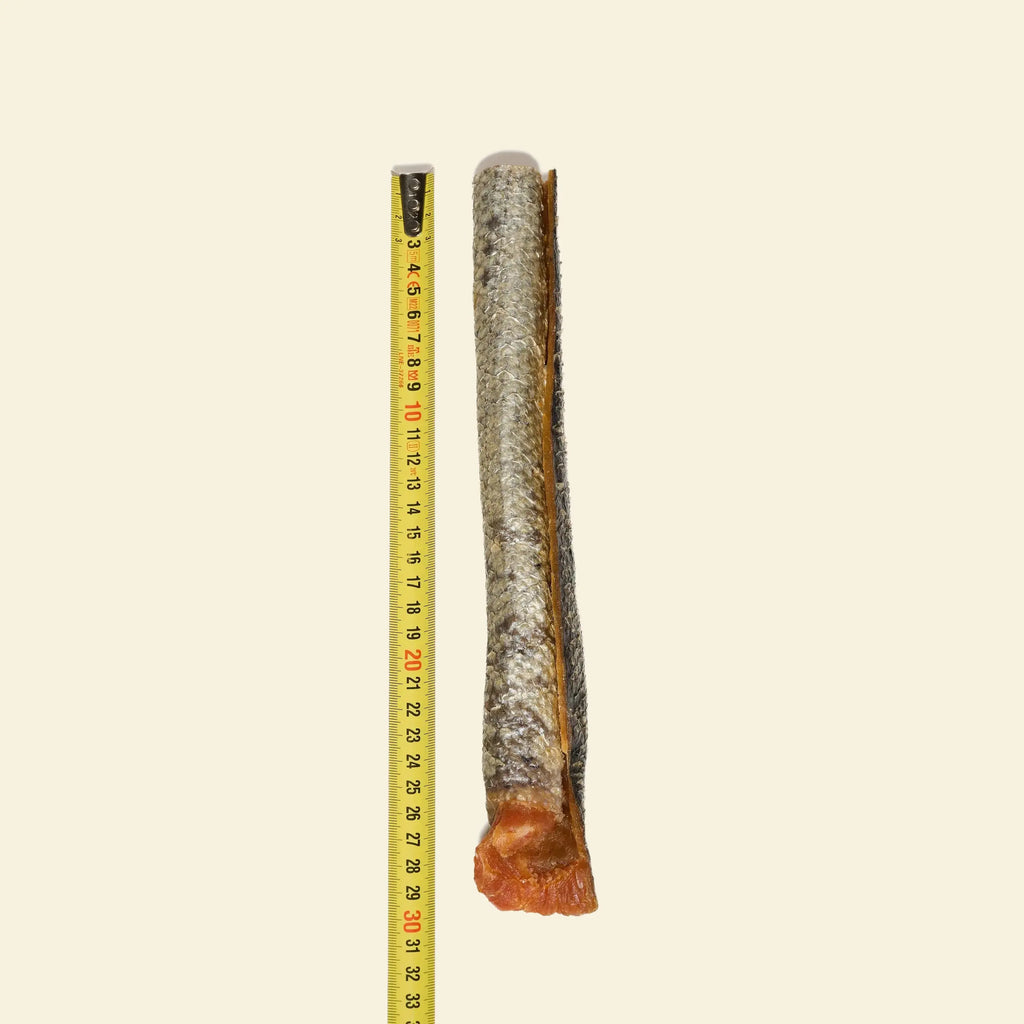 peau de saumon avec chaire pour chien