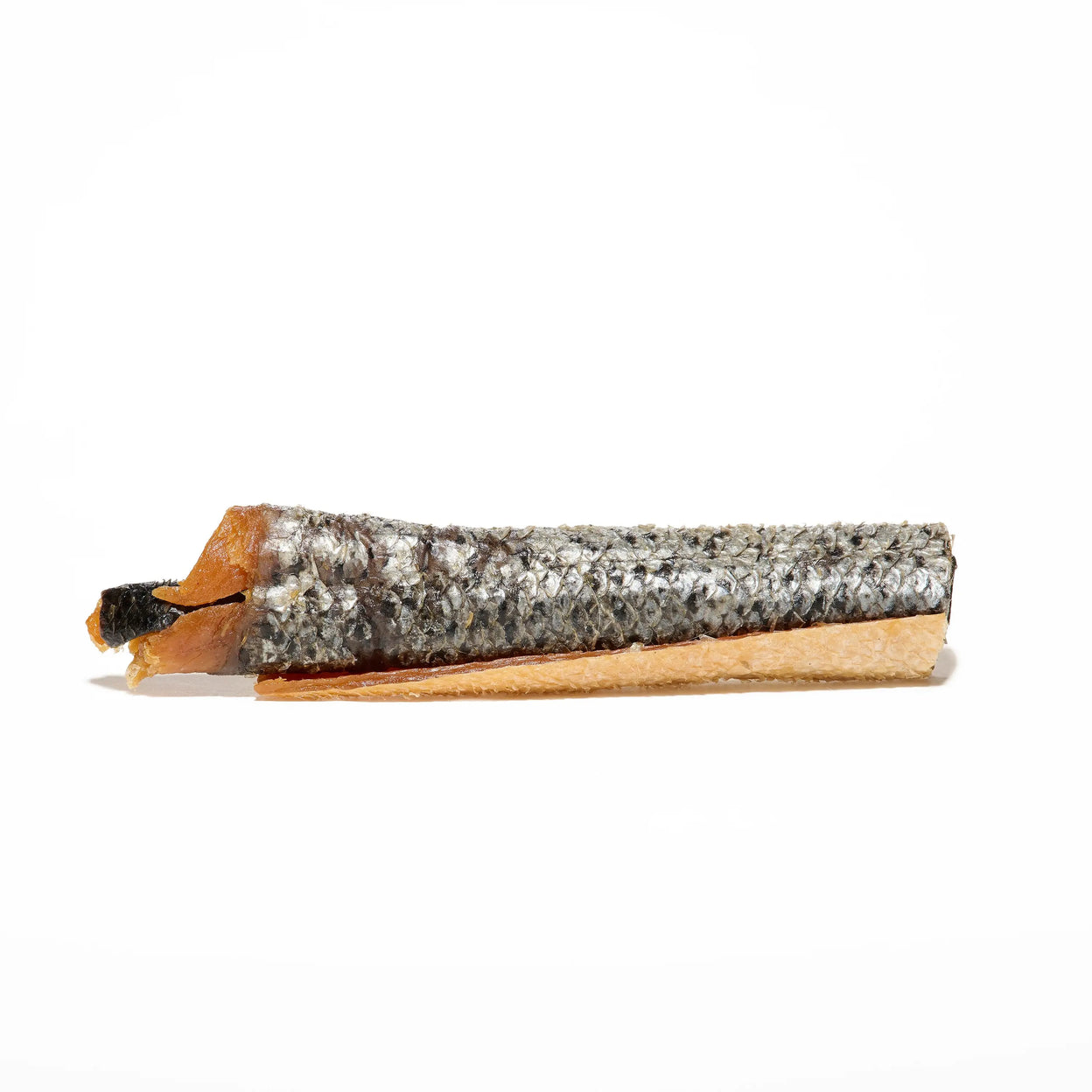 peau de saumon avec chaire pour chien