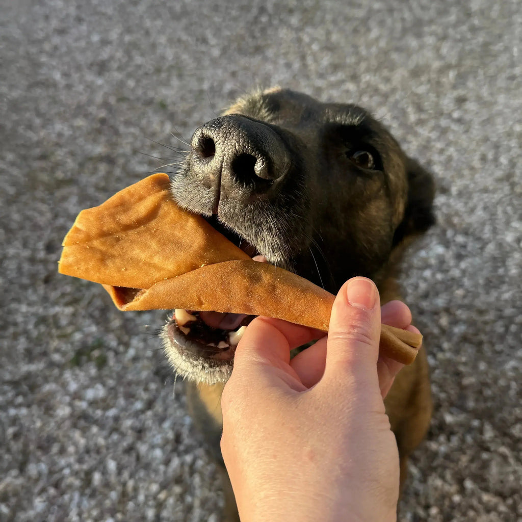 Peau de boeuf pour chien, friandise de mastication naturelle