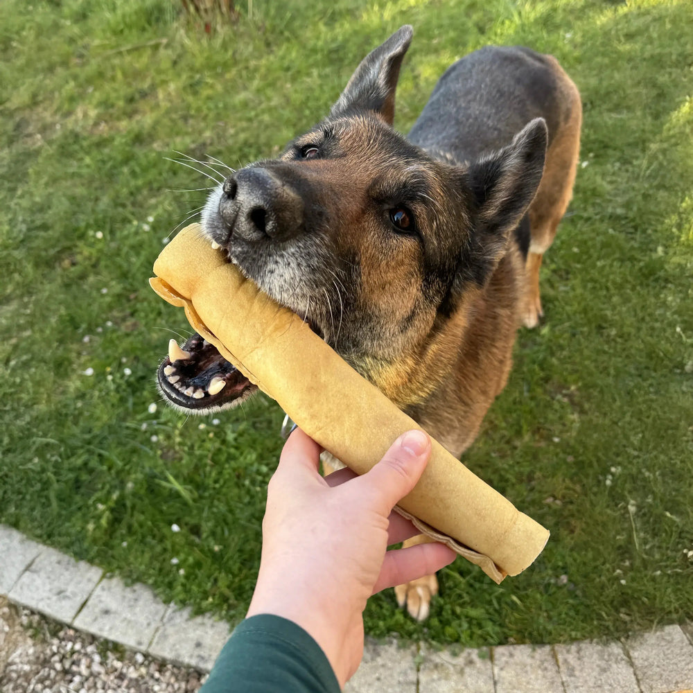 peau de boeuf roulée 30 cm, friandise de mastication naturelle pour chien