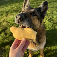 Peau de buffle pour chien, friandise de mastication naturelle