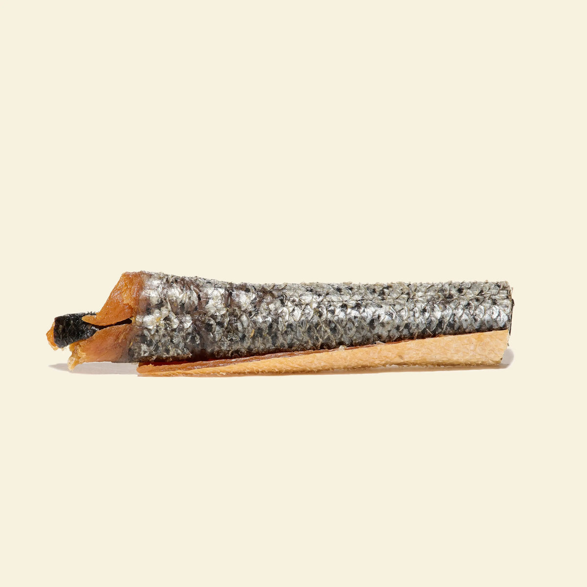 peau de saumon avec chaire pour chien