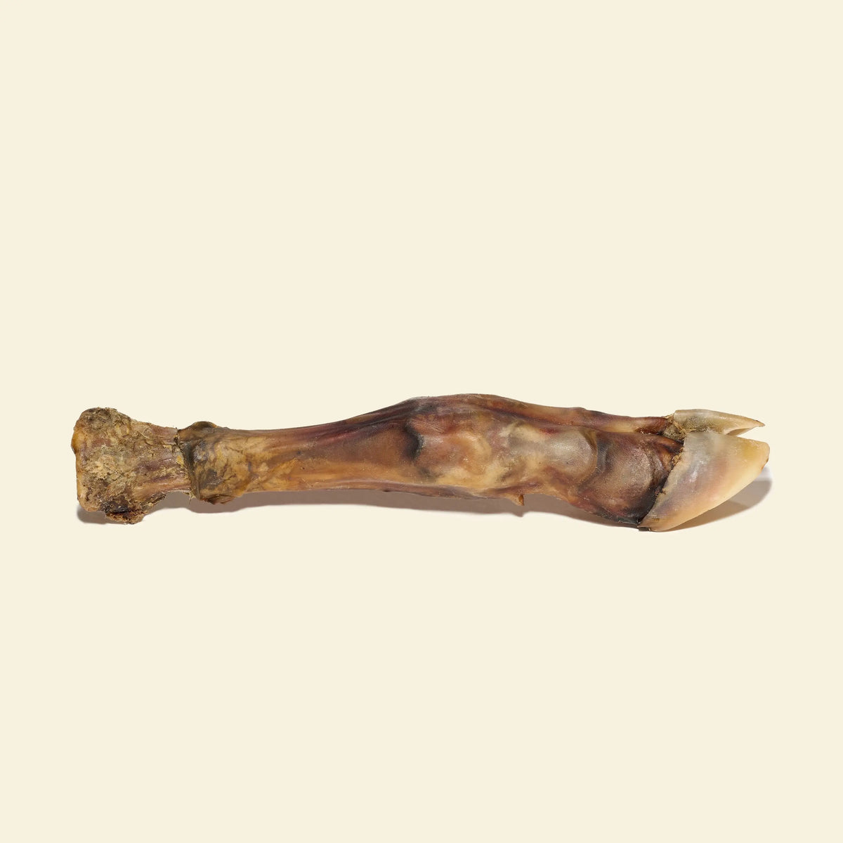 Pied de veau pour chien 