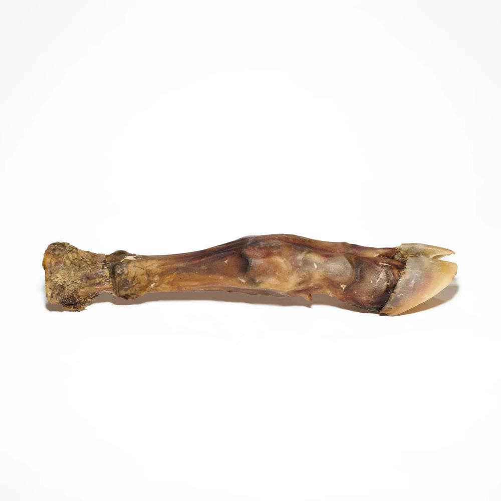 pied de veau pour chien mastication naturelle