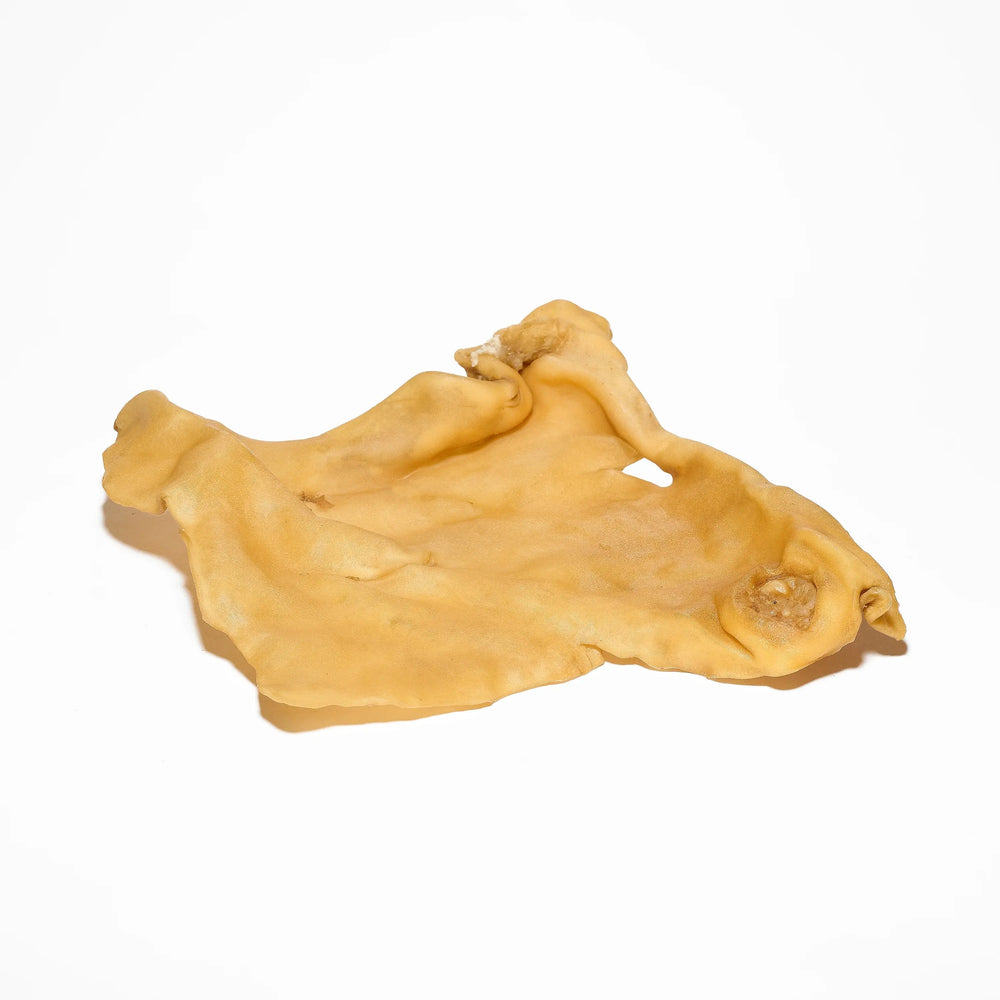 plaque de bœuf pour chien mastication naturelle