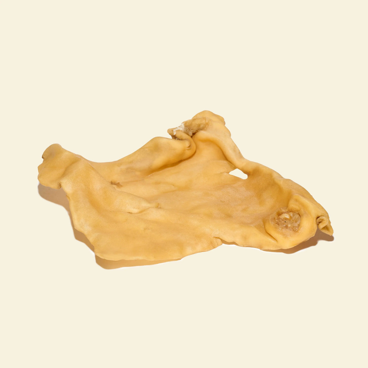 plaque de bœuf pour chien mastication naturelle
