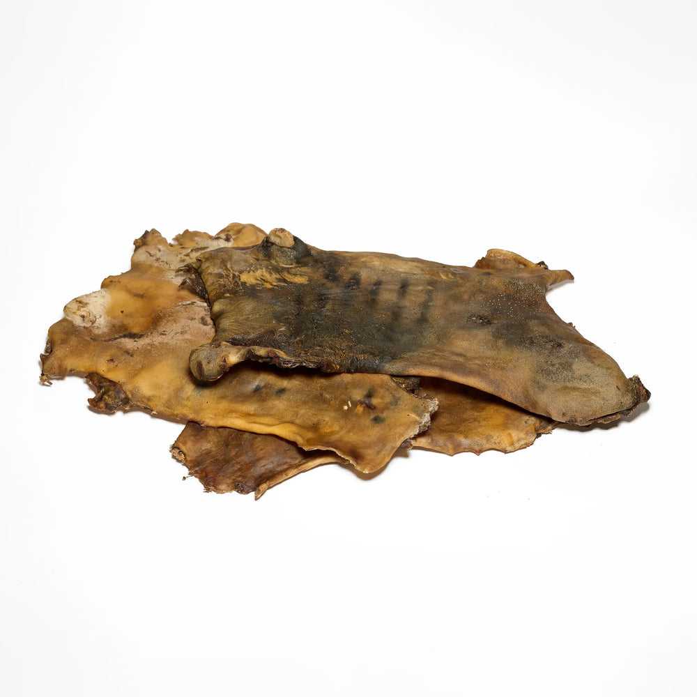 friandises plaques de cheval pour chien naturelles