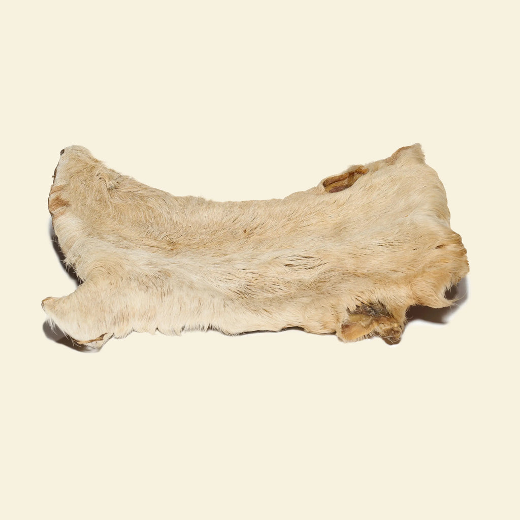 plaque de bœuf avec poiles pour chien mastication naturelle