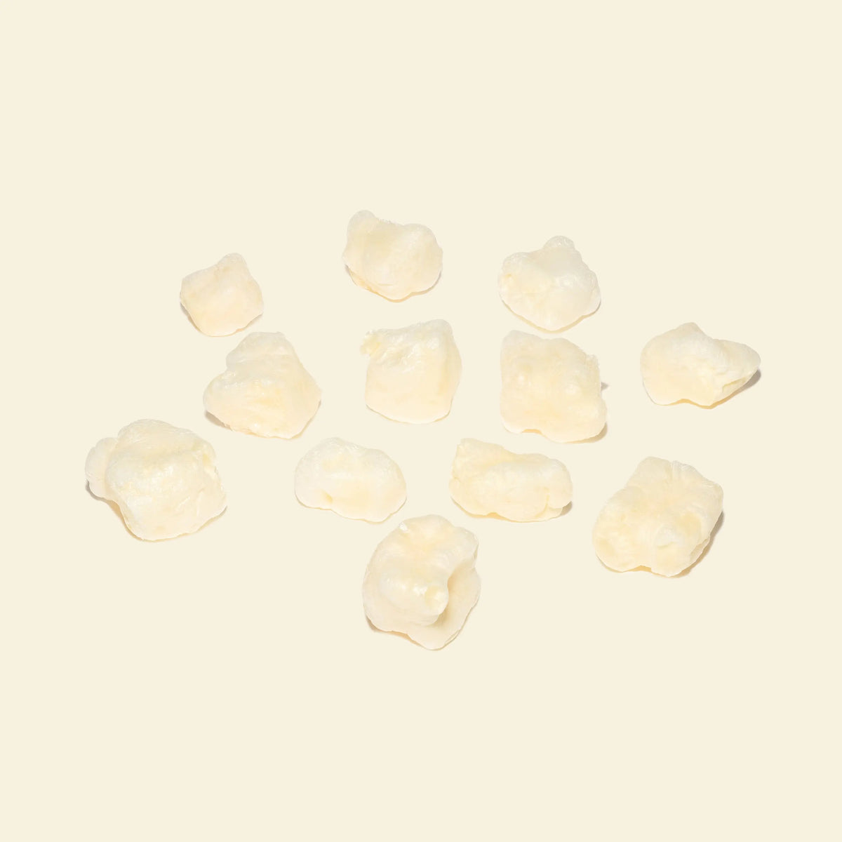 Pop Corn pour chien