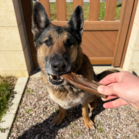 Peau de cheval, friandise de mastication naturelle pour chien