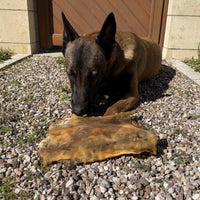 plaques de cheval pour chien naturelles