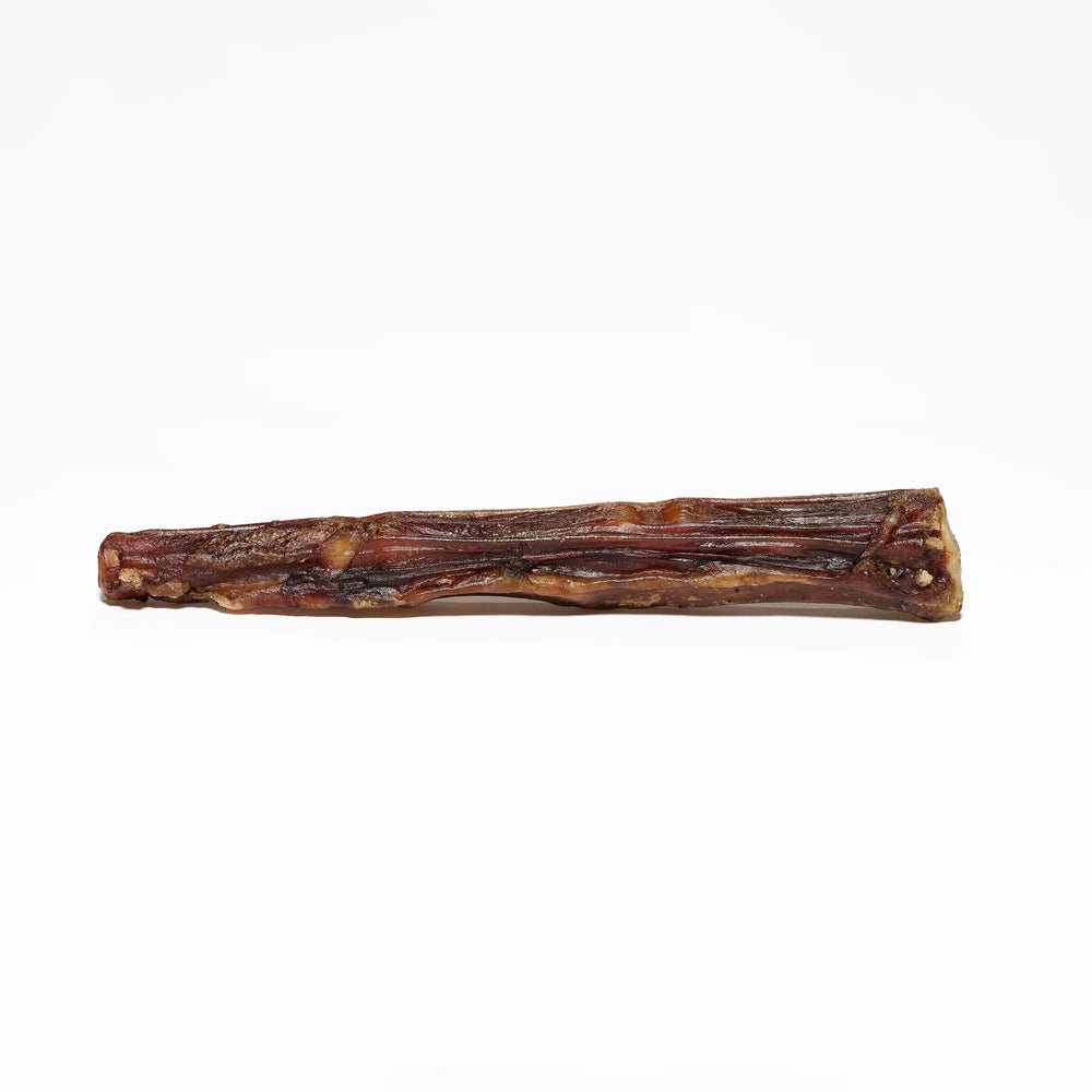 Queue de boeuf pour chien, friandise de mastication naturelle