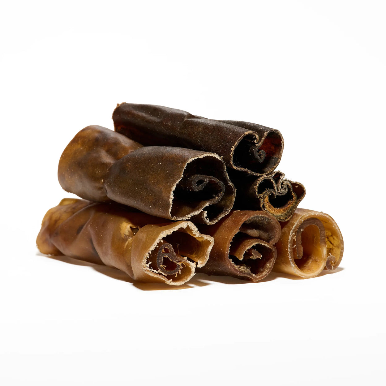 rouleau de chameau pour chien