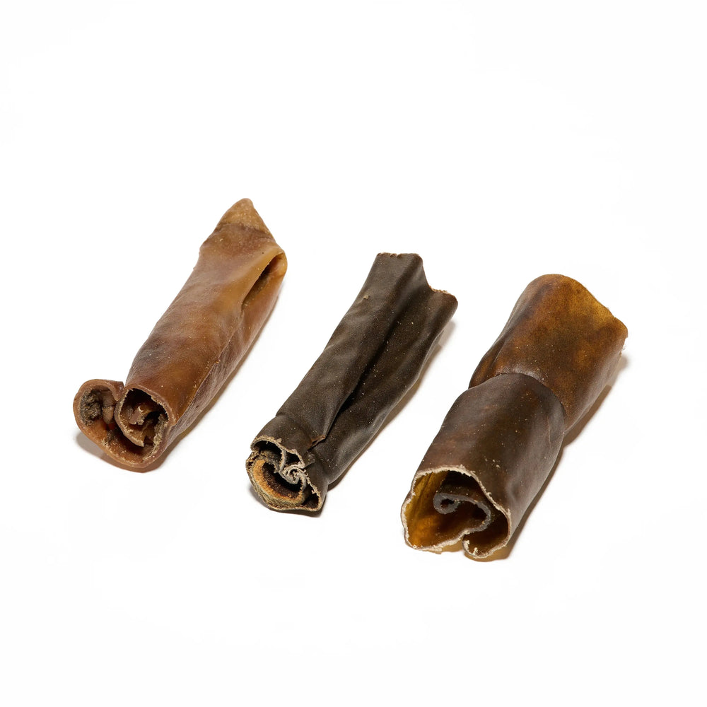 rouleau de chameau pour chien