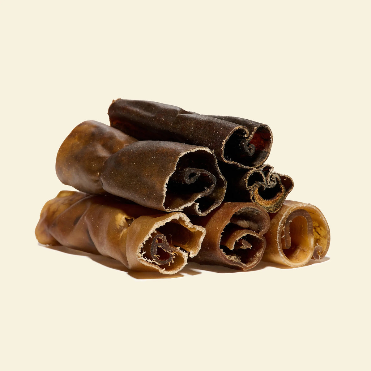 rouleau de chameau pour chien