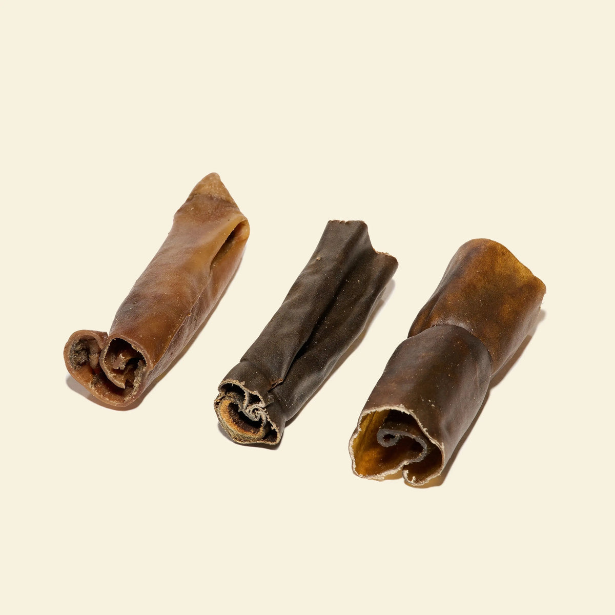 rouleau de chameau pour chien