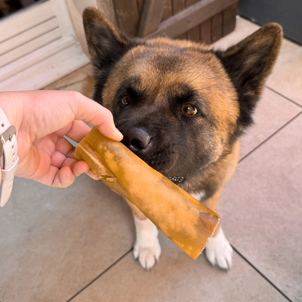 rouleau de chameau pour chien