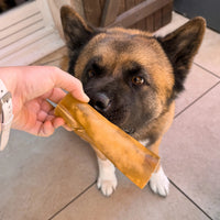 rouleau de chameau pour chien