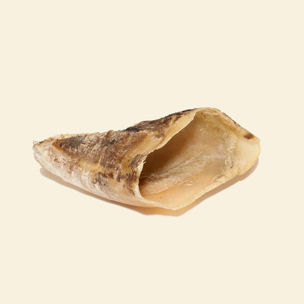 Sabot de boeuf pour chien