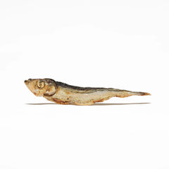 sprat séché pour chien friandise poisson
