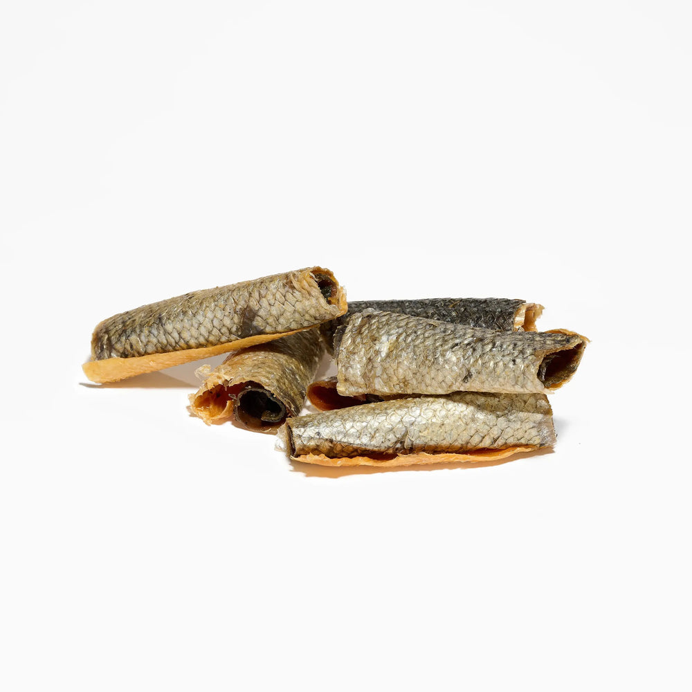 rouleaux de saumon pour chien friandise poisson naturelle