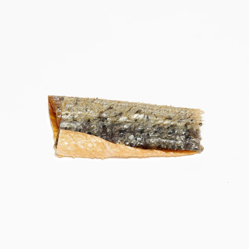 rouleau de saumon séché pour chien texture naturelle