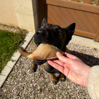 sabot de boeuf, friandise de mastication naturelle pour chien