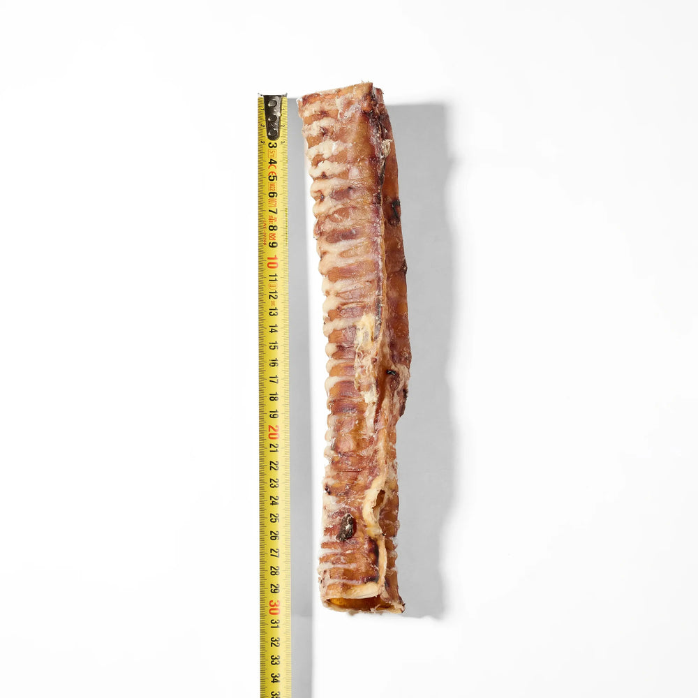 trachée de bœuf pour chien friandise naturelle 30 cm